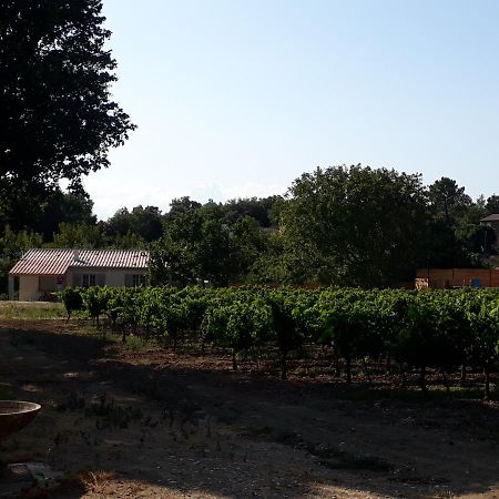 La Petite Maison Dans Les Vignes Chamaret Eksteriør billede