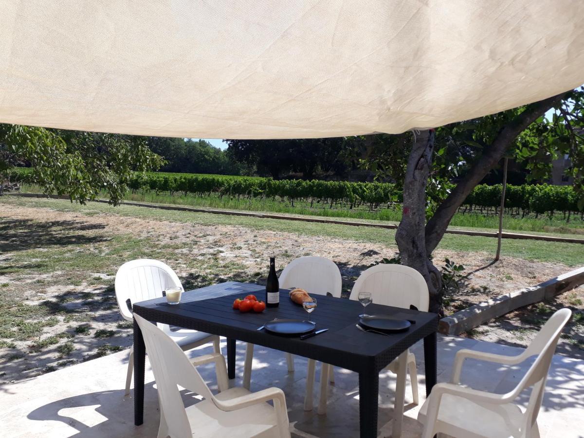 La Petite Maison Dans Les Vignes Chamaret Eksteriør billede