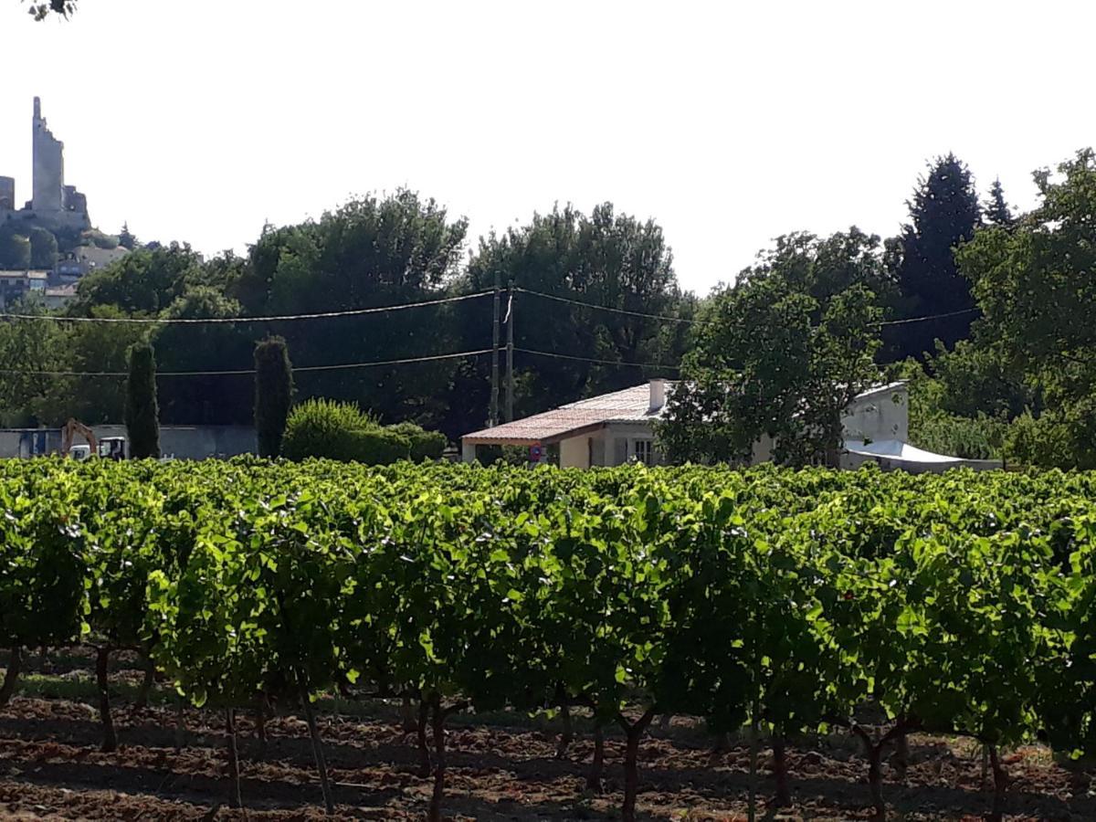 La Petite Maison Dans Les Vignes Chamaret Eksteriør billede