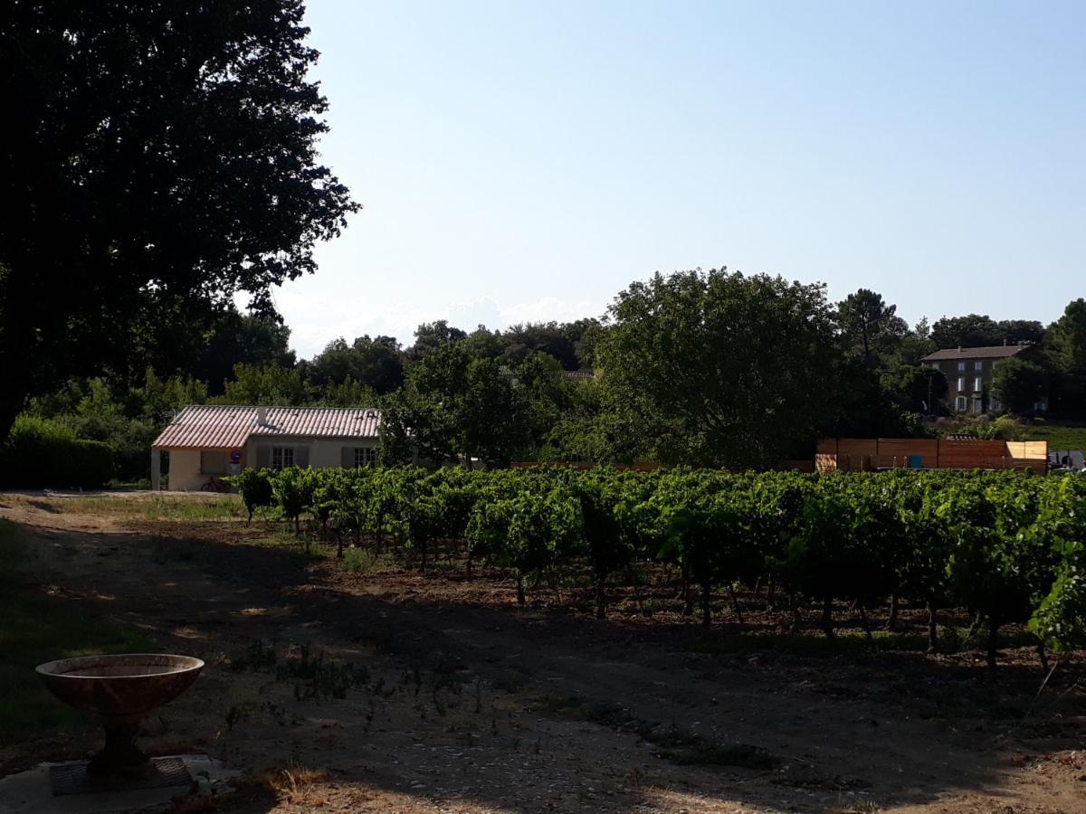La Petite Maison Dans Les Vignes Chamaret Eksteriør billede